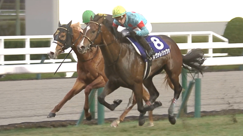 カヴァレリッツォはレーン騎手とのコンビで皐月賞へ