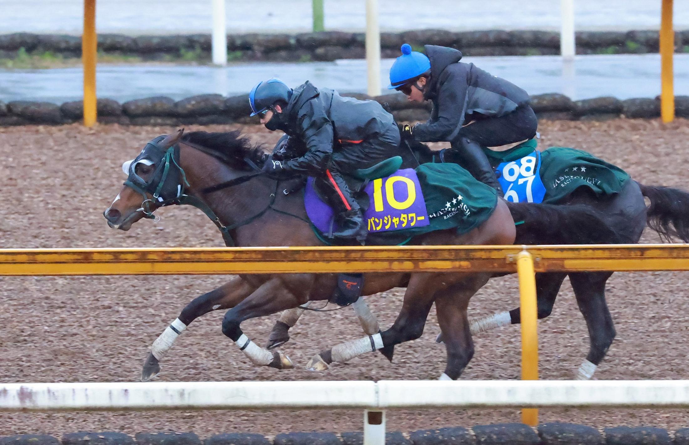 【高松宮記念】パンジャタワー　鋭伸に好感触　１週前追い切りで半馬身先着　松山「馬場が悪い中、よく動けていた」