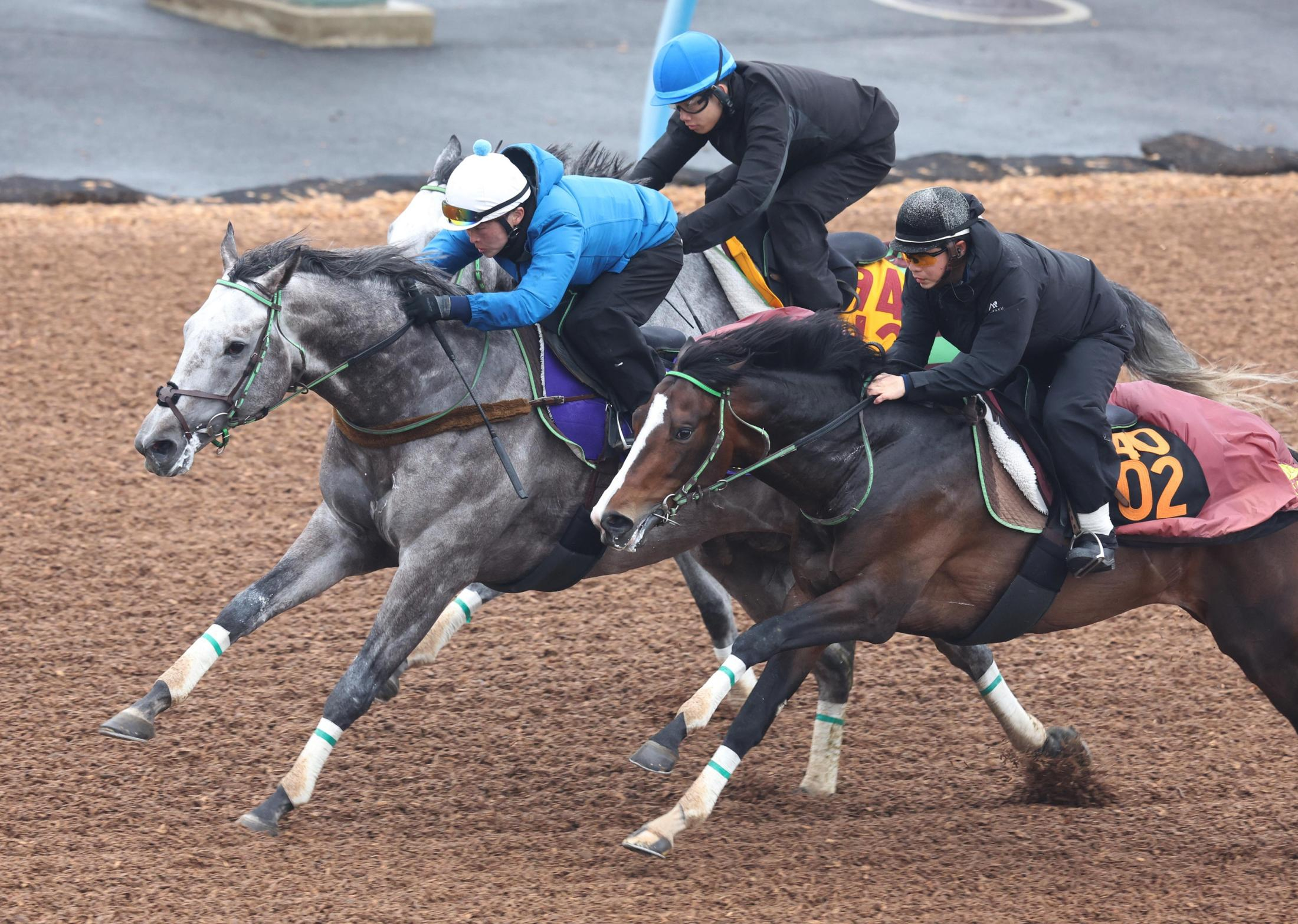 【高松宮記念】ララマセラシオン　１週前追い切りは３頭併せで好タイム１馬身先着　大竹師「初めての１２００メートル。未知の部分に期待」