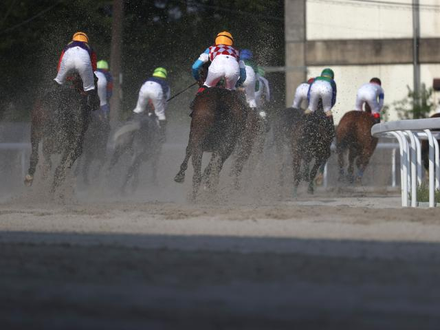 【笠松・マーチC結果】6番人気のグスタールが逃げ切って重賞初制覇