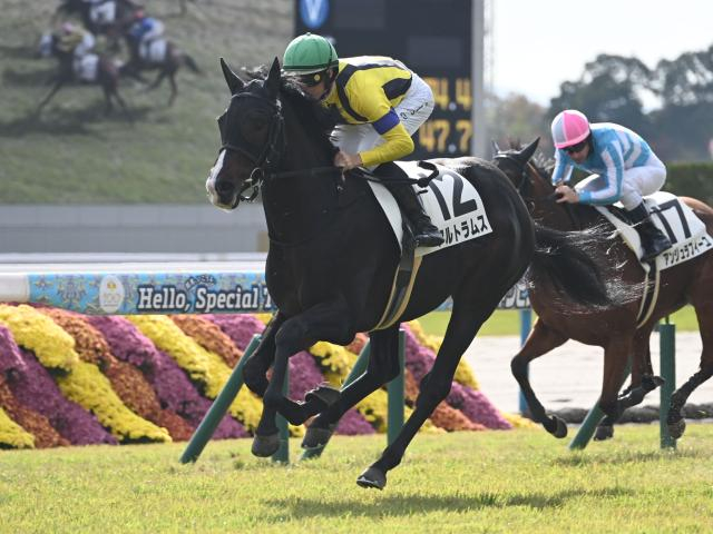 【毎日杯想定馬・騎手】アルトラムス、カフジエメンタールなど11頭