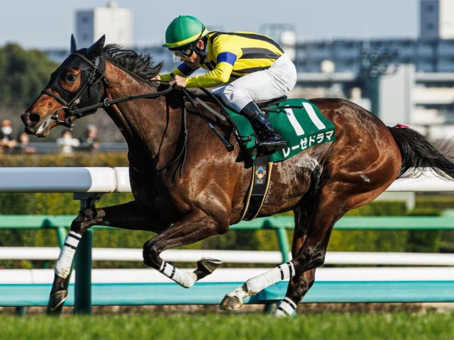 フラワーCはキズナ産駒が好相性 複勝率67%をマークする注目の前走クラスとは