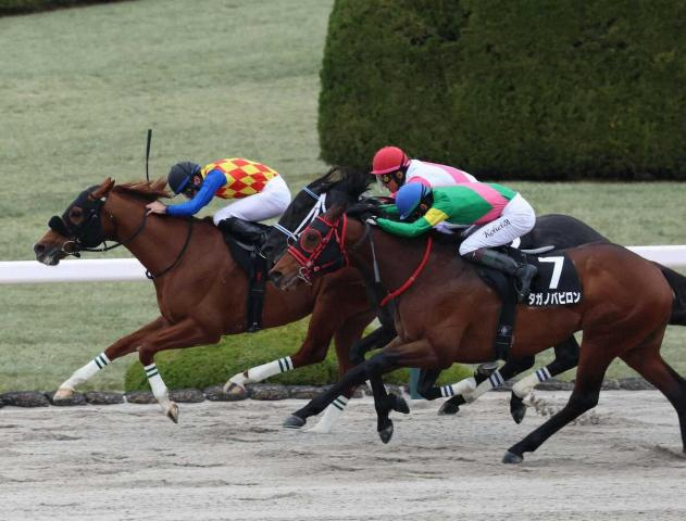 【レグルスS】テーオーグランビル　オープン初勝利　岩田望「もっと上でも」