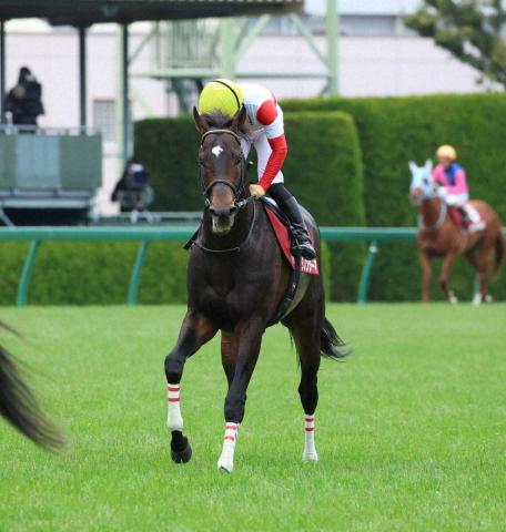 【阪神大賞典】ダノンシーマ3着　初重賞で存在感　川田「いい経験になりました」
