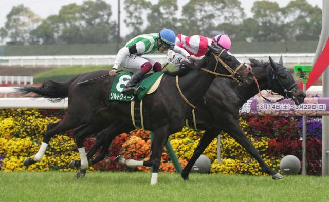 【愛知杯】ソルトクィーン　頭差で敗れ2着　富田「あそこまで行ったら…」