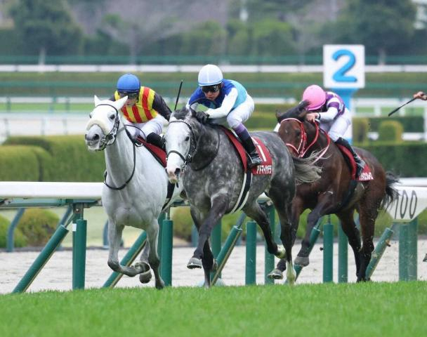 【阪神大賞典】アクアヴァーナル　牝馬初制覇ならずも大健闘2着　四位師感心しきり「百点満点」