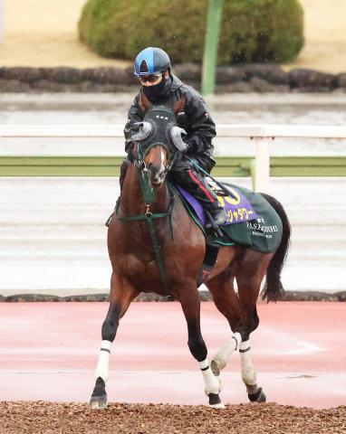 【高松宮記念】栗東のG1馬2頭は態勢着々　パンジャタワー陣営は日曜追いに「本来の動き」と納得