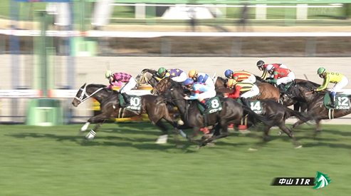 【フラワーC】イクシードさん