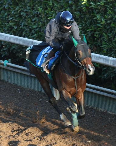 【高松宮記念】レイピア　磨かれた自在性　中竹師「中京も左回りも問題ない」
