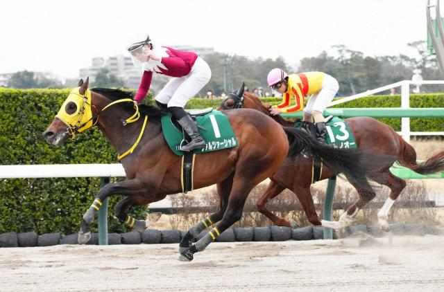 【マーチS】ヴァルツァーシャル　年齢の影響なし　完全復活を感じさせる走り