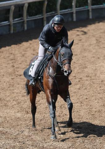 【毎日杯】ローベルクランツ　伸びやかさ戻る　小林師「前回よりピリッとしてきた」
