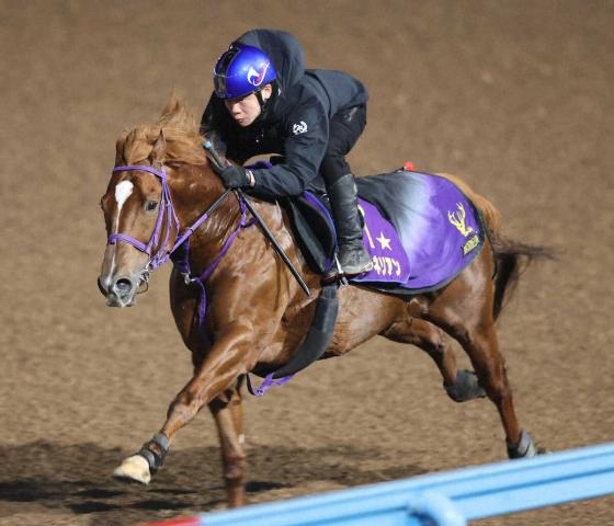【高松宮記念】ウインカーネリアン　グンと上向きに　三浦「現段階としては申し分ない」