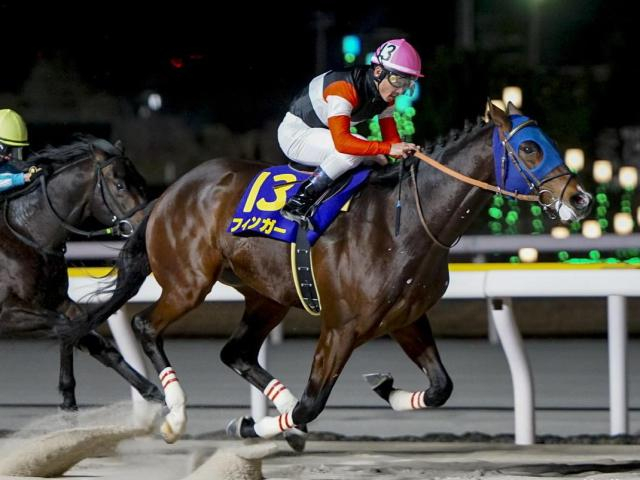 【大井・京浜盃注目馬】3歳ダート三冠の前哨戦 羽田盃に向かって階段を駆け上がるのは