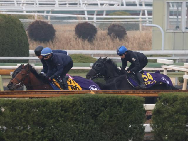 クロワデュノール、大阪杯1週前追い切り速報/栗東トレセンニュース