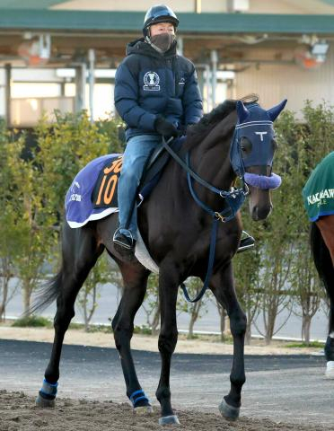 【注目馬動向】スプリングSを制したアウダーシアは皐月賞を回避　日本ダービーへ直行