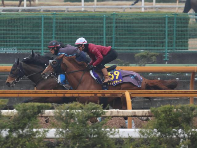 ダノンデサイル、大阪杯1週前追い切り速報/栗東トレセンニュース