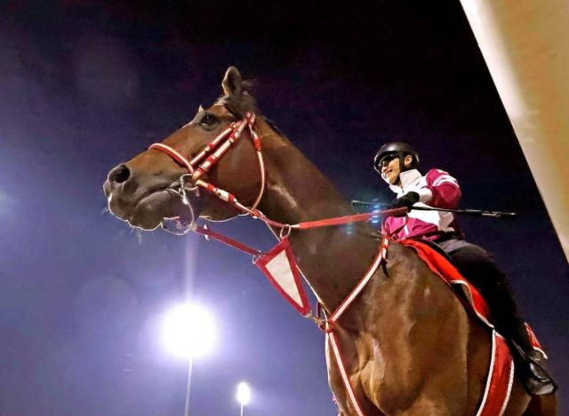 【ドバイWC】外枠希望の矢作調教師「まぁまぁ良い枠」　フォーエバーヤングは9頭立ての6番ゲートに確定