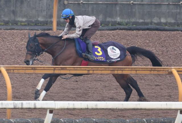 【高松宮記念】エーティーマクフィ　馬なりで鋭く伸びた1F11秒0　武英師「状態は過去最高ぐらい」