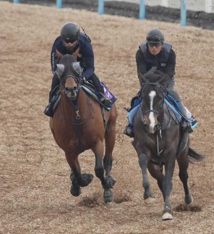 【高松宮記念】レッドモンレーヴ　Wコースで余力十分1F11秒5　蛯名正師「体もスプリント体形に」