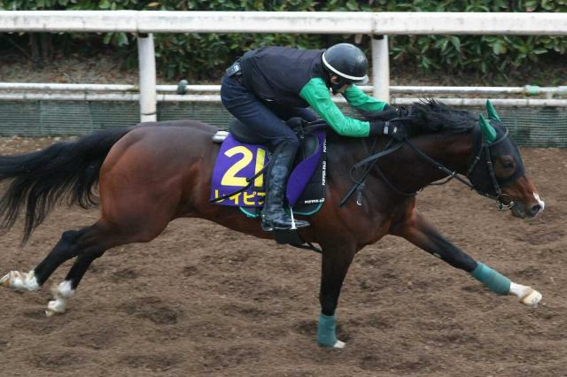 【高松宮記念】レイピア　迫力十分4F51秒5　中竹師「レースが楽しみになる動きだった」