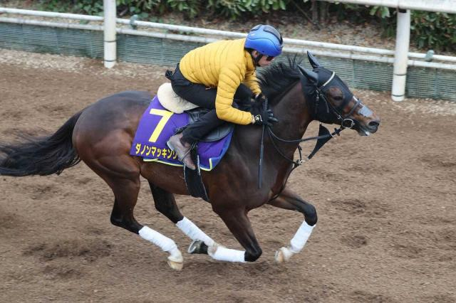 【高松宮記念】ダノンマッキンリー　乗り込んで動き良化4F52秒7　高杉「いい雰囲気」