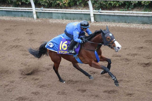 【高松宮記念】ママコチャ　しまい重点1F12秒1　池江師「力みなくいい走りでした」