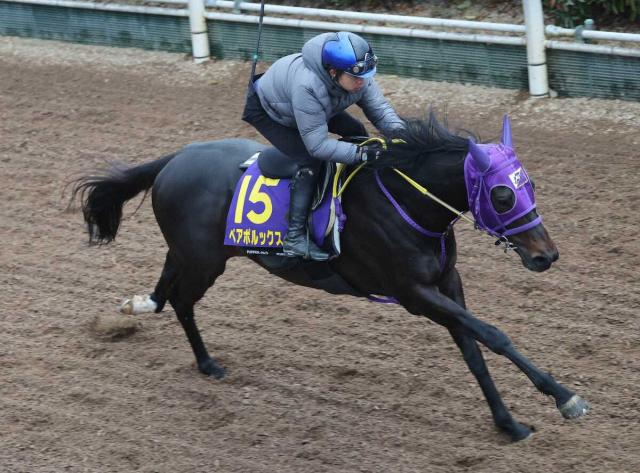 【高松宮記念】ペアポルックス“うなって”いい雰囲気　梅田師納得の坂路4F52秒2