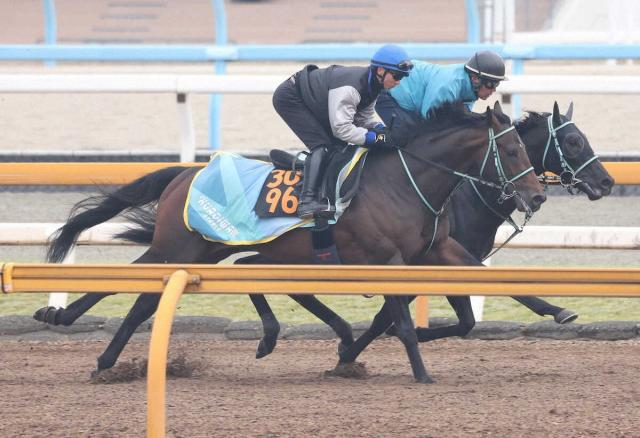 【毎日杯】ウップヘリーア　ラスト1F11秒6で併入　吉村好感触「癖もなく乗りやすい」