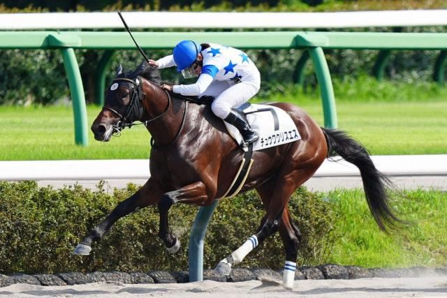 【マーチS】チュウワクリスエス　スムーズに加速1F11秒7　栗田師「先週より良かった」