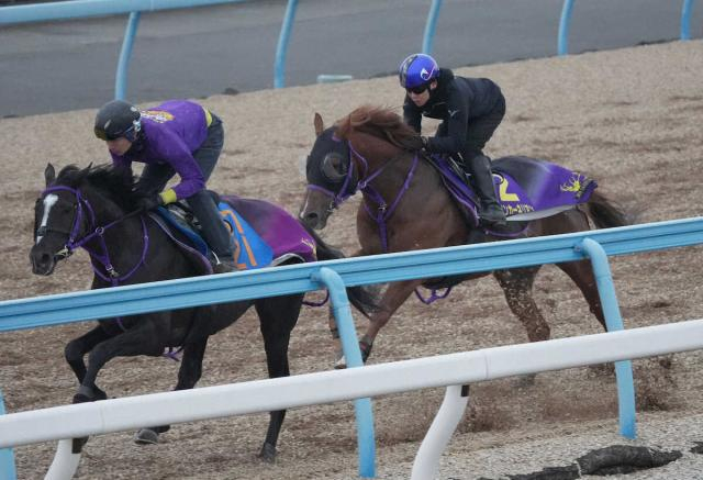 【高松宮記念】ウインカーネリアン　国内スプリント戦なら大崩れなし　鉄砲実績には不安も