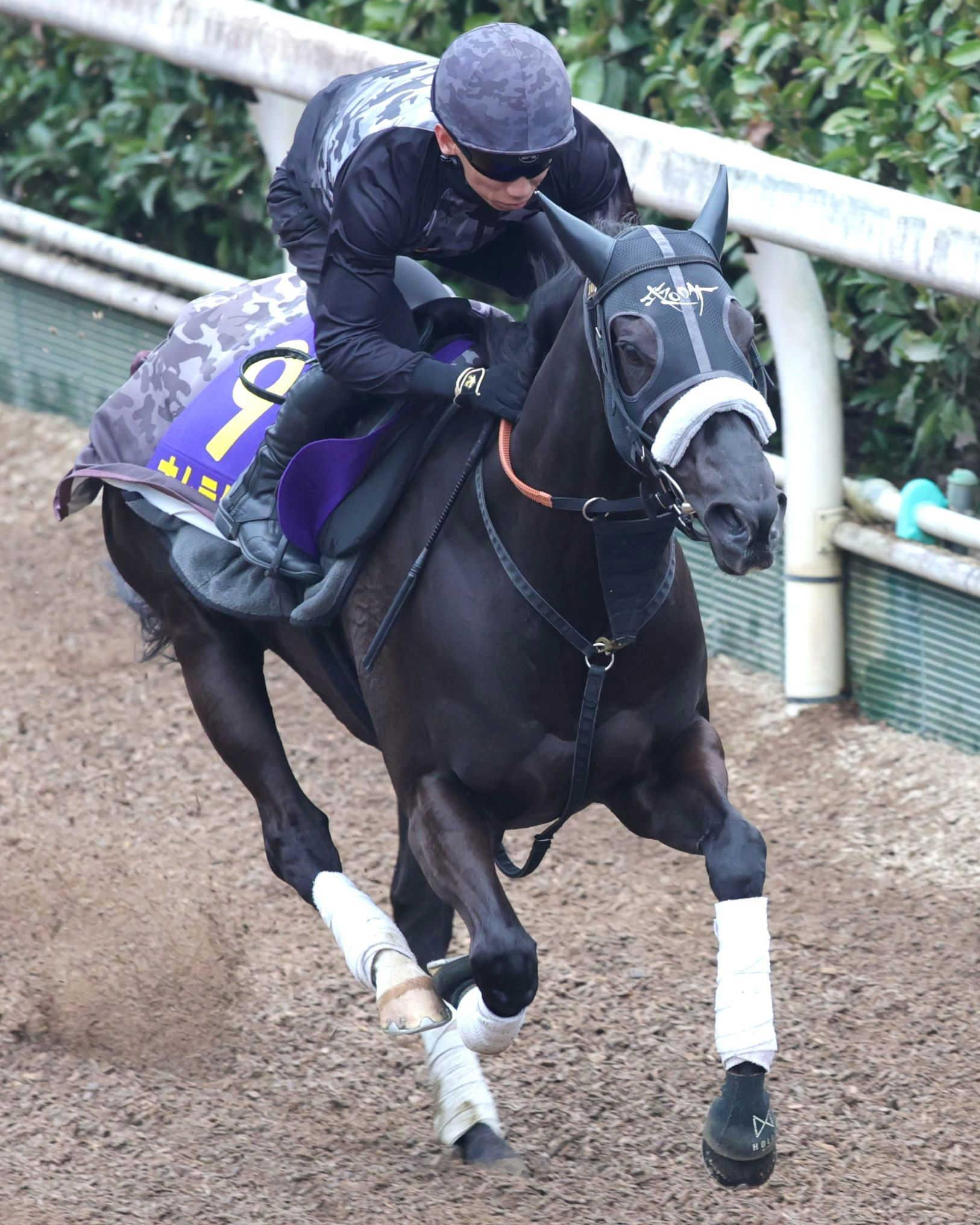 【高松宮記念】ナムラクレア集大成へ　ダイナミック走で万全　長谷川師「申し分のない仕上がり」　浜中「期待に応える」