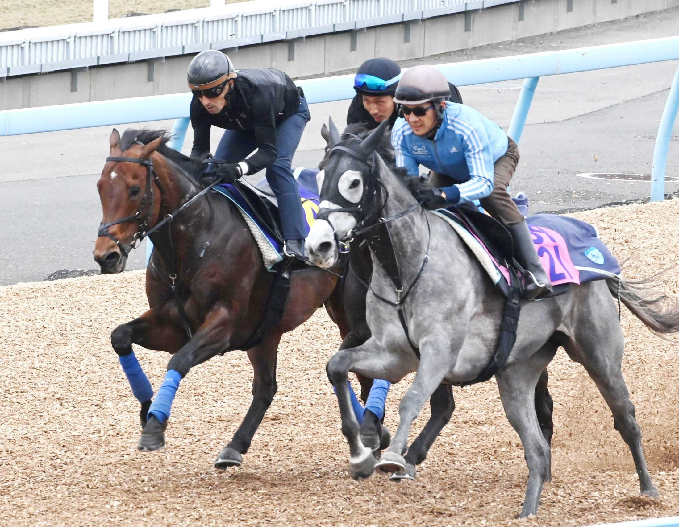 【高松宮記念】サトノレーヴ　連覇へ万全　７歳充実期、状態に自信　厩舎の先輩の“軌跡”たどる