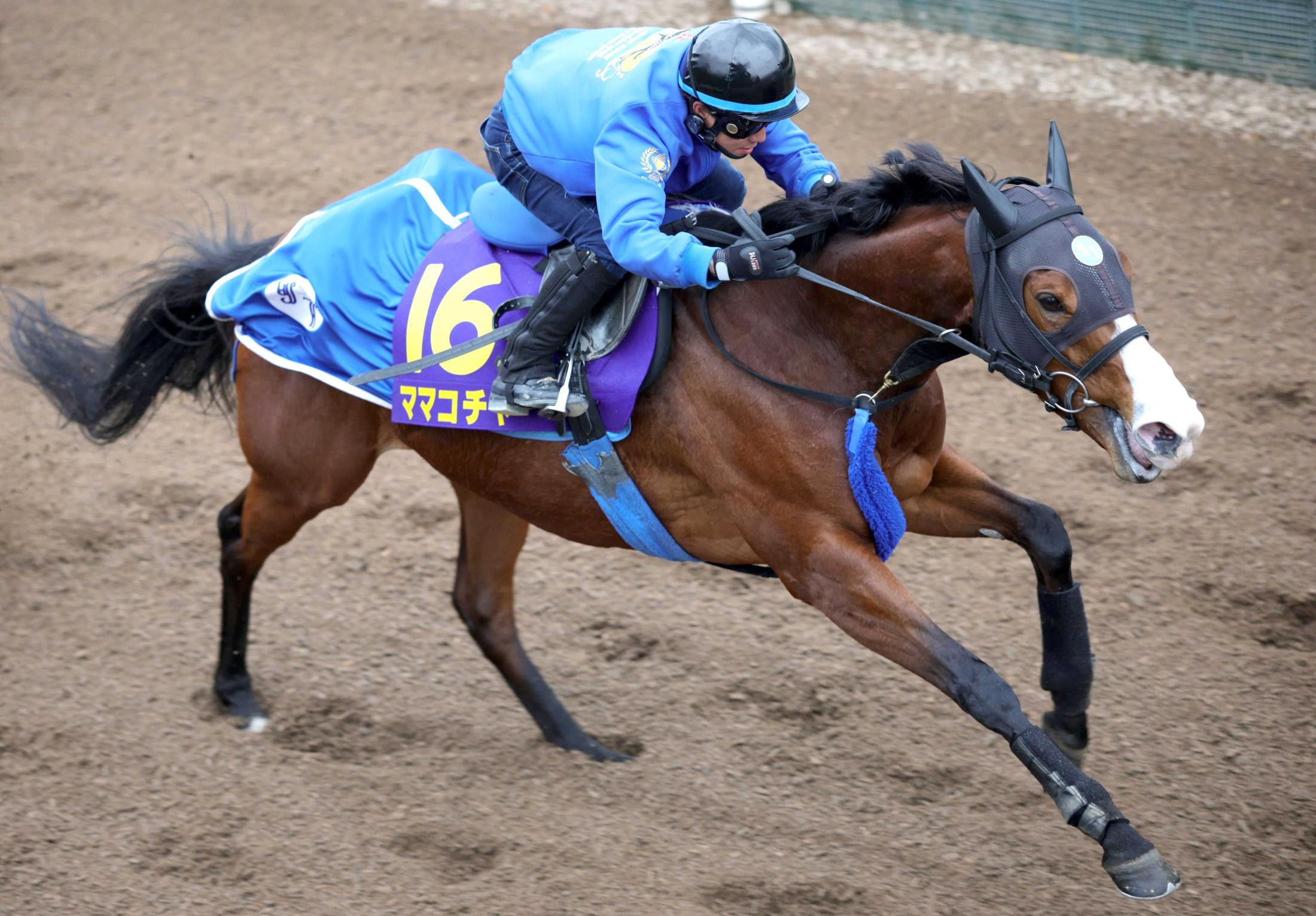 【高松宮記念】ママコチャ　豪快加速　池江師「１回使った上積みある」　陽気を味方に２度目のＧ１制覇へ