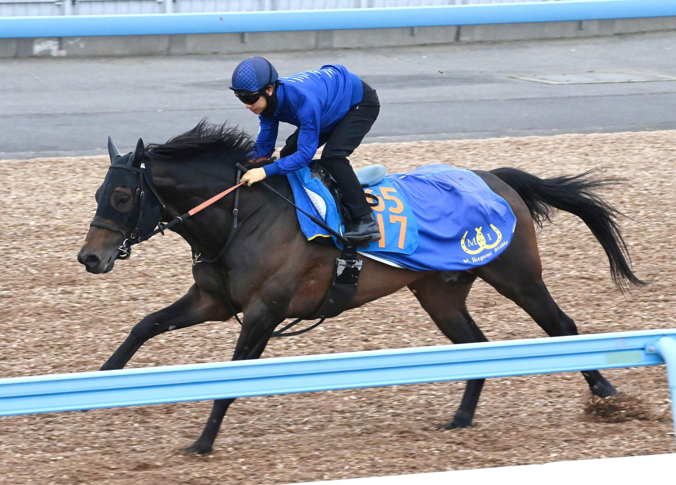【マーチＳ】アクションプラン　軽快走披露　池上師は舞台を歓迎「結果の出ているコース」