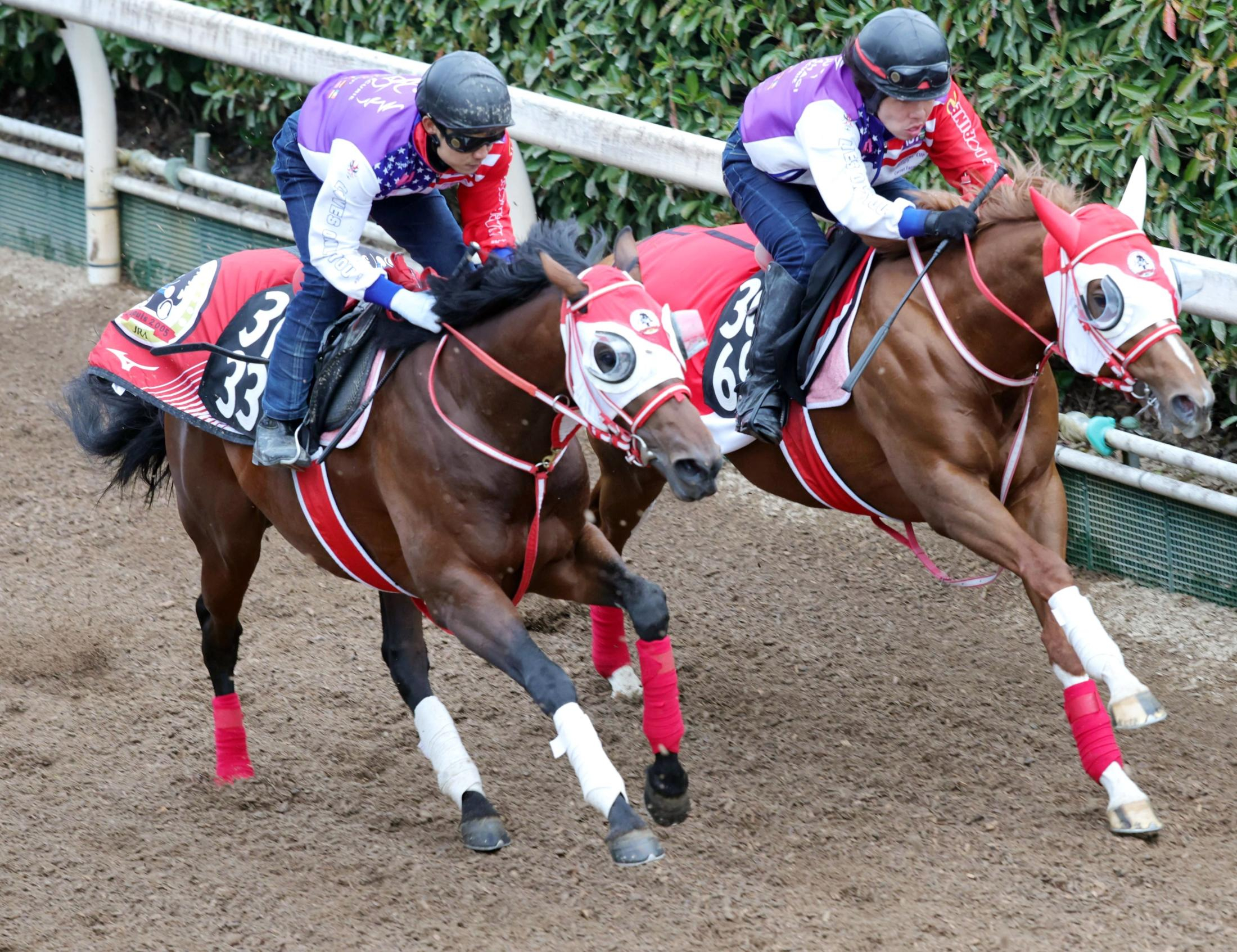 【毎日杯】カフジエメンタール　遅れも余裕アリ　陣営「時計も動きもいい」