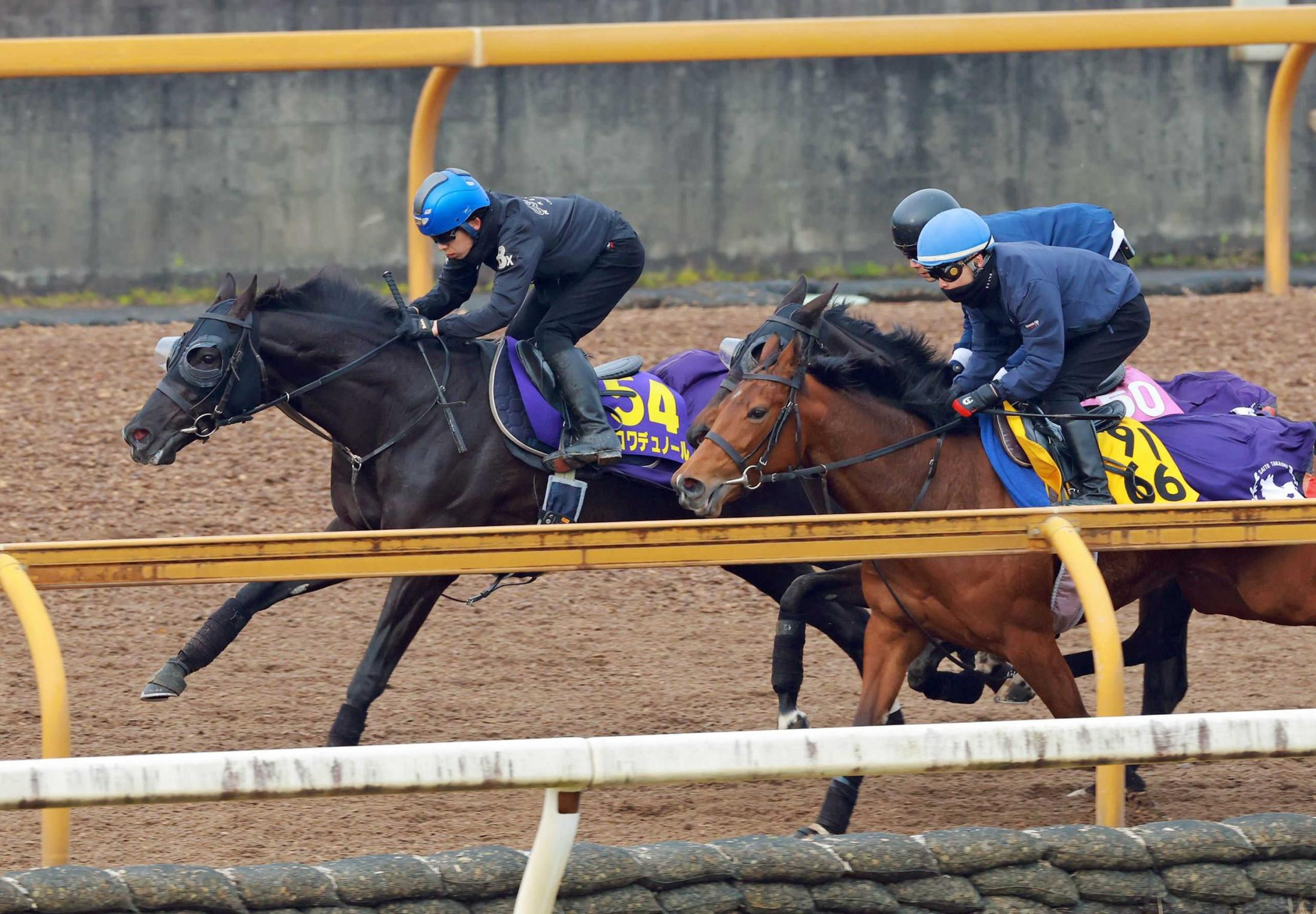 【大阪杯】クロワデュノール　躍動感たっぷり　鞍上は引き続き北村友に決定　斉藤崇師「やるごとに上向き」