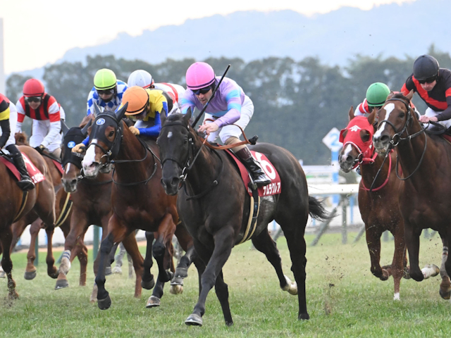 ナムラクレアと一番多く対決した馬は？ 高松宮記念でラストラン予定