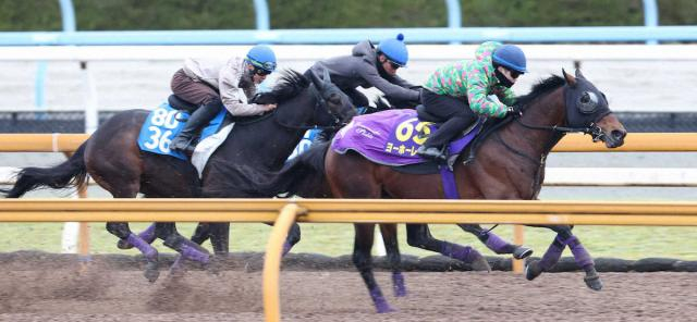 【大阪杯1週前追い】ヨーホーレイク&ショウヘイ上昇　魅力の2頭出し友道師は手応え