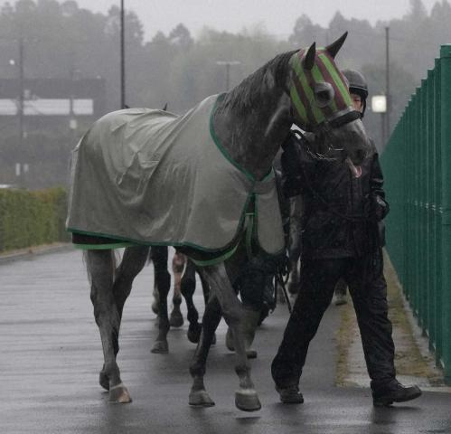 【高松宮記念】ララマセラシオン　鞍上は丸田に決定　1週前追いにも騎乗「いい感じだった」