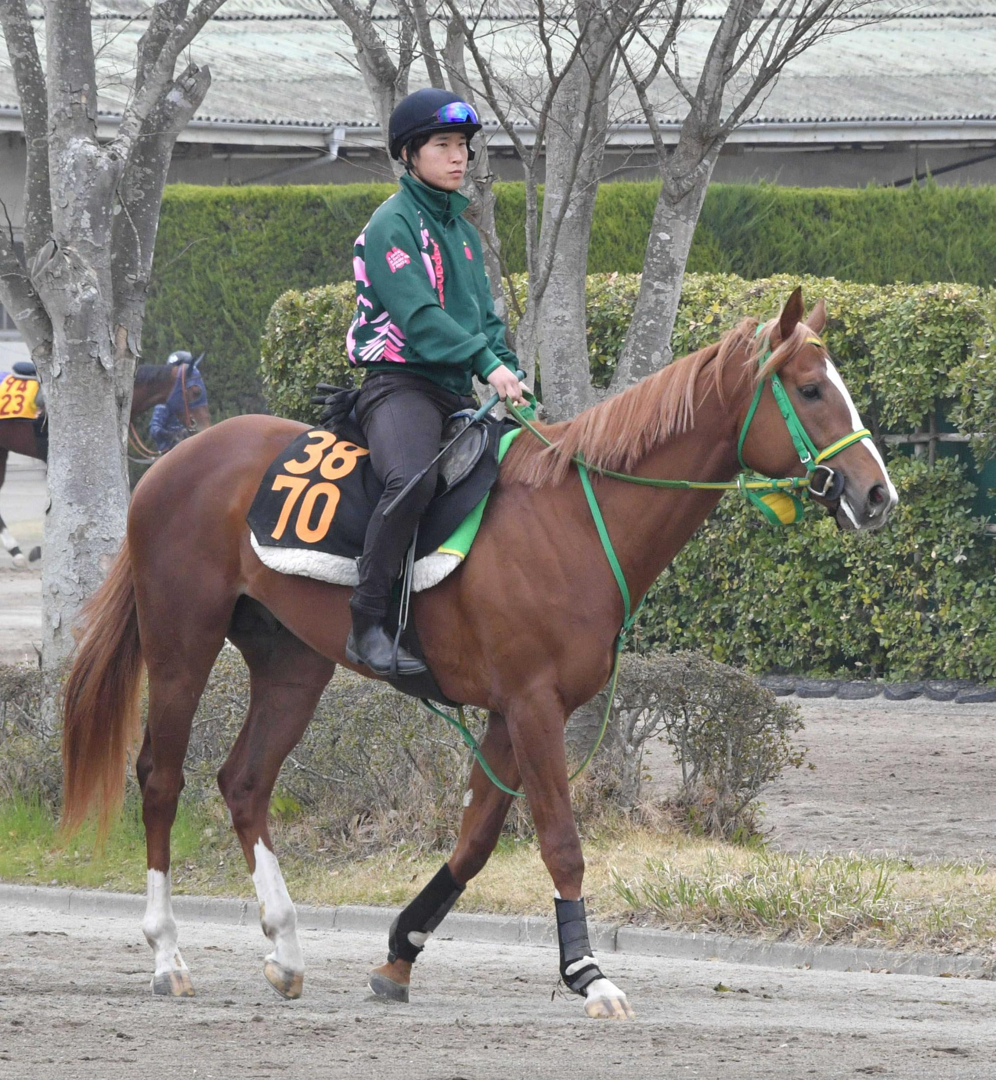 【伏竜Ｓ】堀江貴文氏の所有馬イッテラッシャイ　勝って米国３冠レース参戦へ　斎藤誠師「道が開けるといいですね」