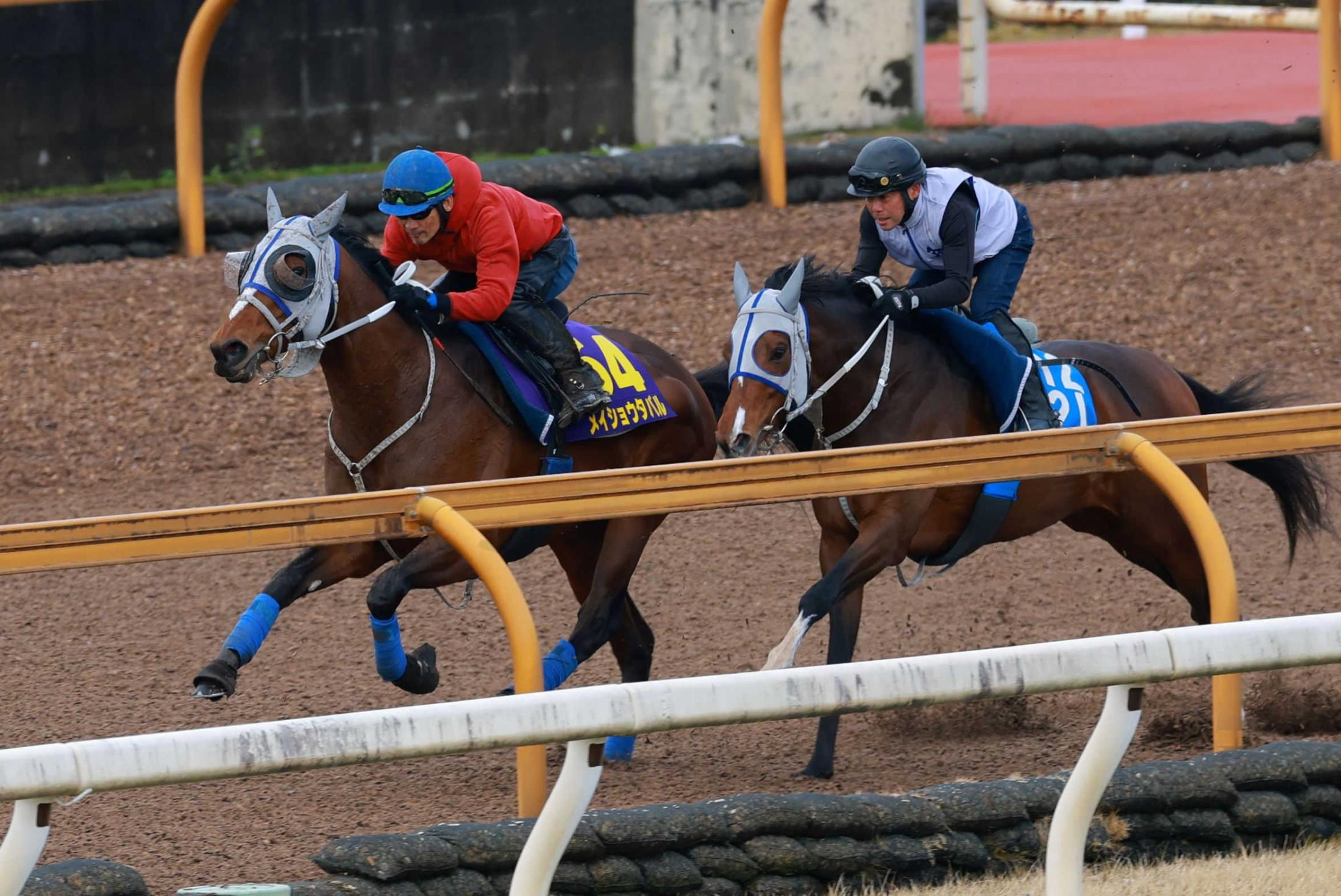 【大阪杯】メイショウタバル　太宰が認めた実力「“ホンマモン”のオープン馬」大一番へ１段階ギアアップ