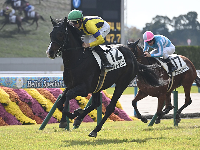 【毎日杯枠順確定】アルトラムスは4枠4番、カフジエメンタールは2枠2番