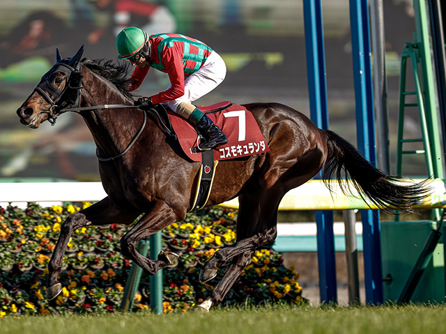 【日経賞枠順確定】コスモキュランダは4枠7番、マイユニバースは8枠15番