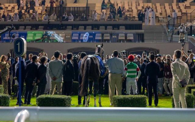 アブダビゴールドC覇者シュトラウスはモレイラとコンビ継続で香港チャンピオンズマイルへ