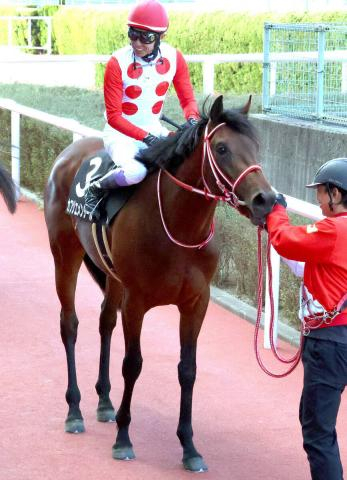 【毎日杯】武豊騎手とのコンビ継続で挑む“飛び級V”のカフジエメンタールは2枠2番に決定!