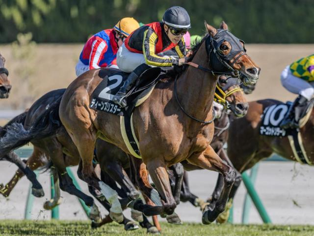 兄姉2頭は海外G1勝ち馬 ディーンズリスターが約4年ぶりの2勝目なるか