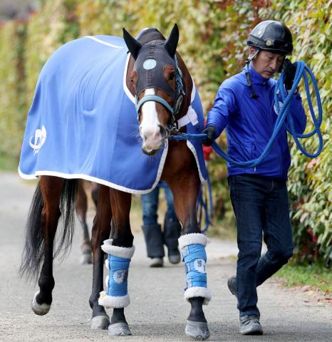 【高松宮記念】「3度目の正直」狙うママコチャは5枠10番　陣営「見た感じのシルエットがいいですね」