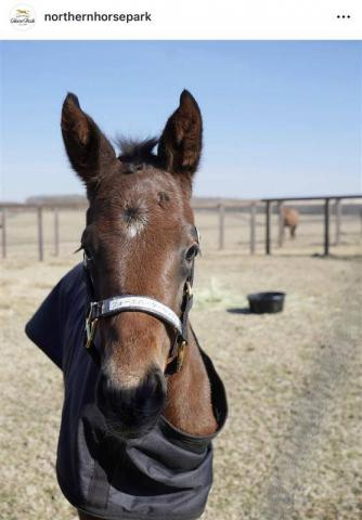 寝る子は育つ!?「誕生からわずか1日で…」驚異の成長見せるフォーエバーヤング全妹の誕生にSNS歓喜「素晴らしい」
