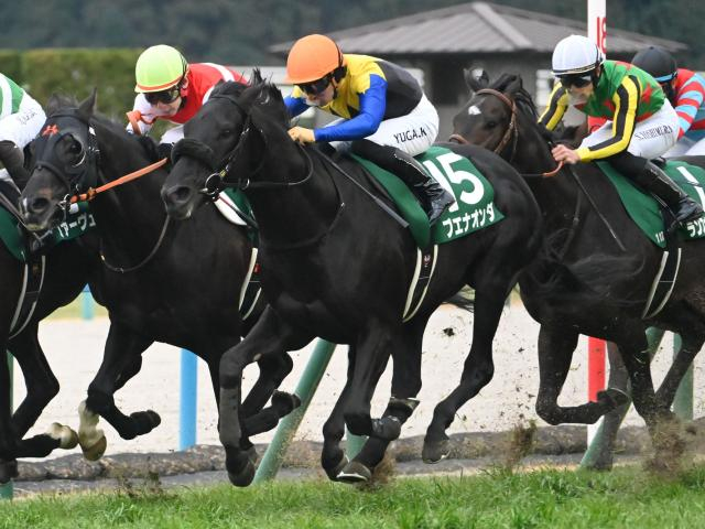 【ダービー卿CT想定馬・騎手】ブエナオンダ、ケイアイセナなど19頭