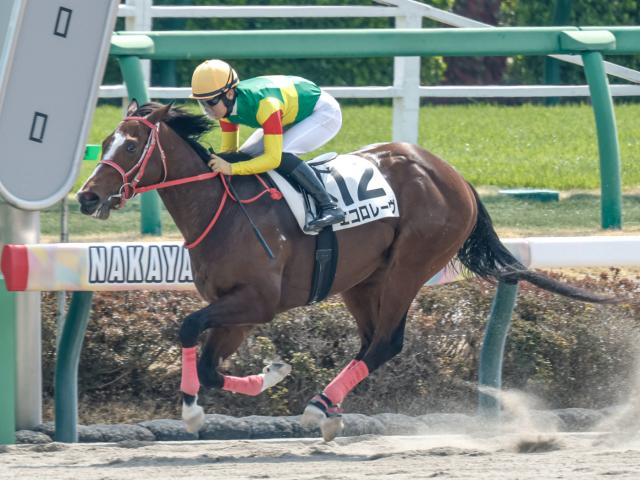 【POG】好タイムで快勝のエコロレーヴはバイオレットSへ/馬三郎のつぶやき